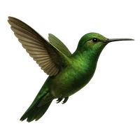 Realistic transparent hummingbird facing inward